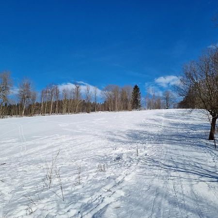 Apartman Utulno: Relax, Sauna A Vyberova Kava Horní Maršov Buitenkant foto